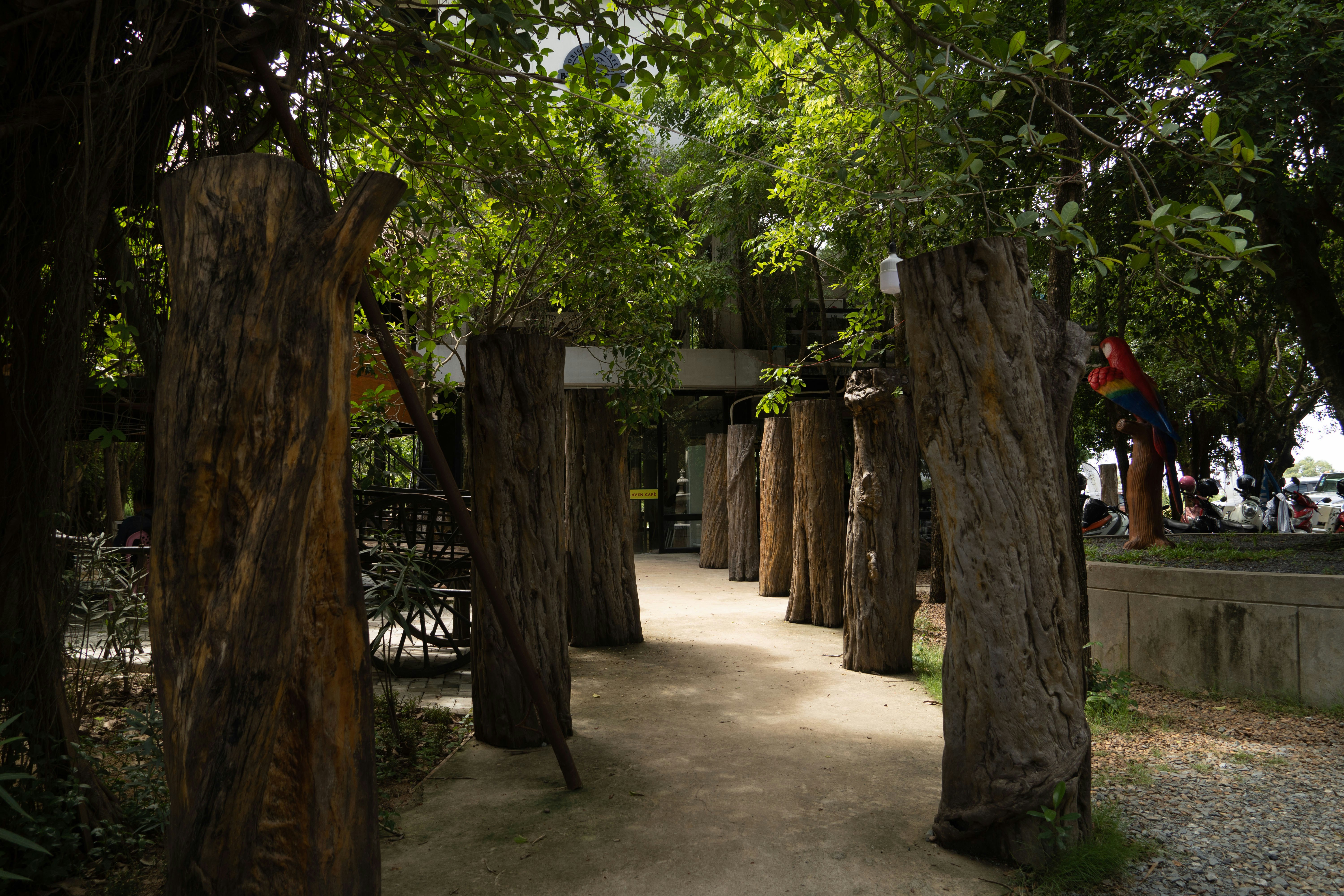 a path with trees and a building