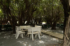 Outdoor seating area shaded by trees beside a tranquil garden path.