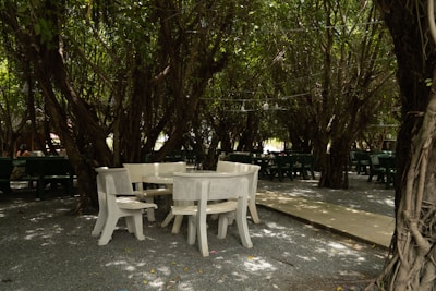 Refreshing outdoor seating area nestled among tall trees with natural light.