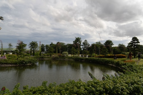 Guests enjoying a peaceful morning by the pond surrounded by lush greenery.