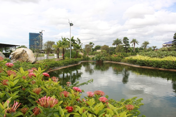 Garden pond with flowers and plants
