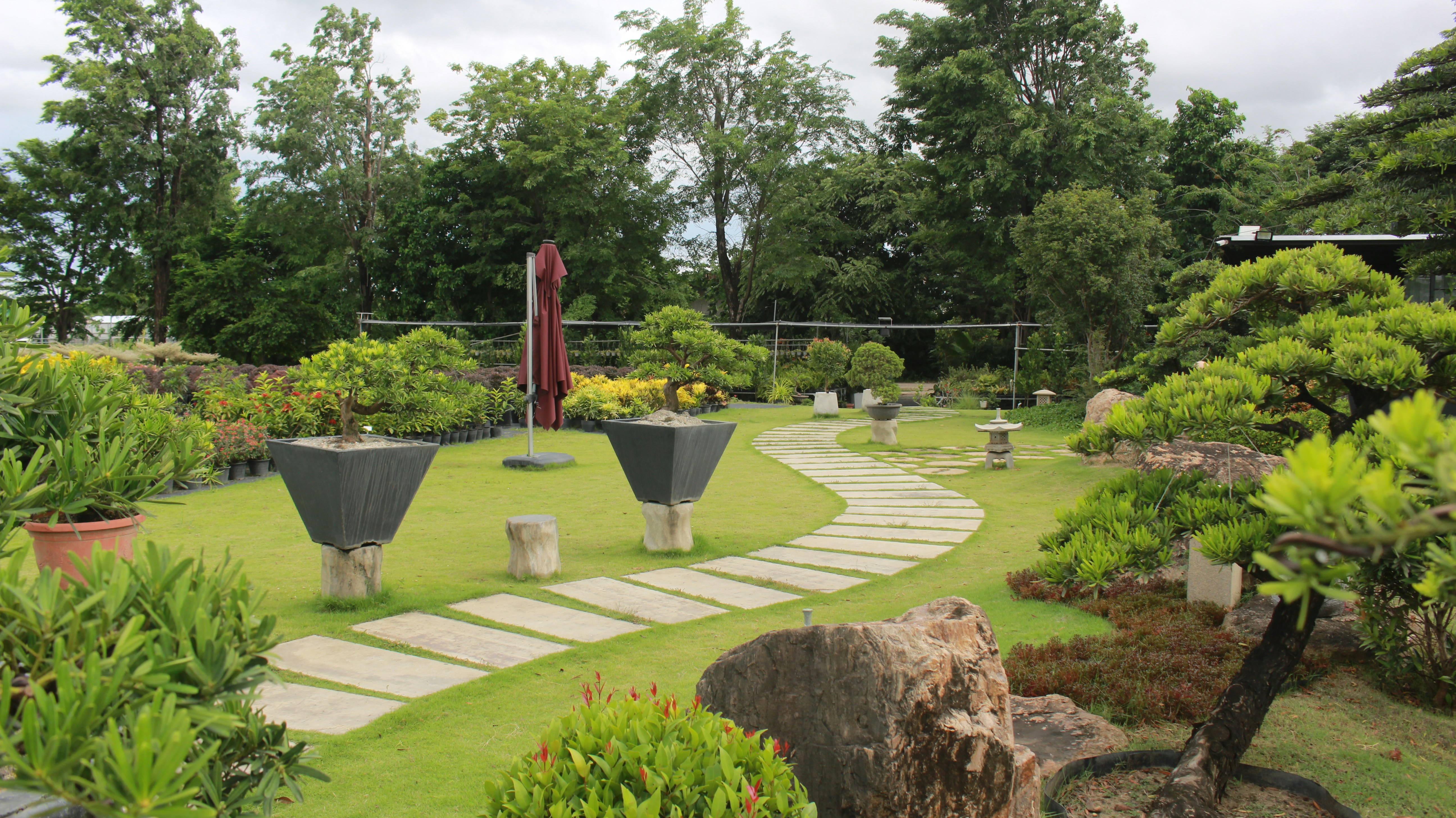 a garden with a red umbrella