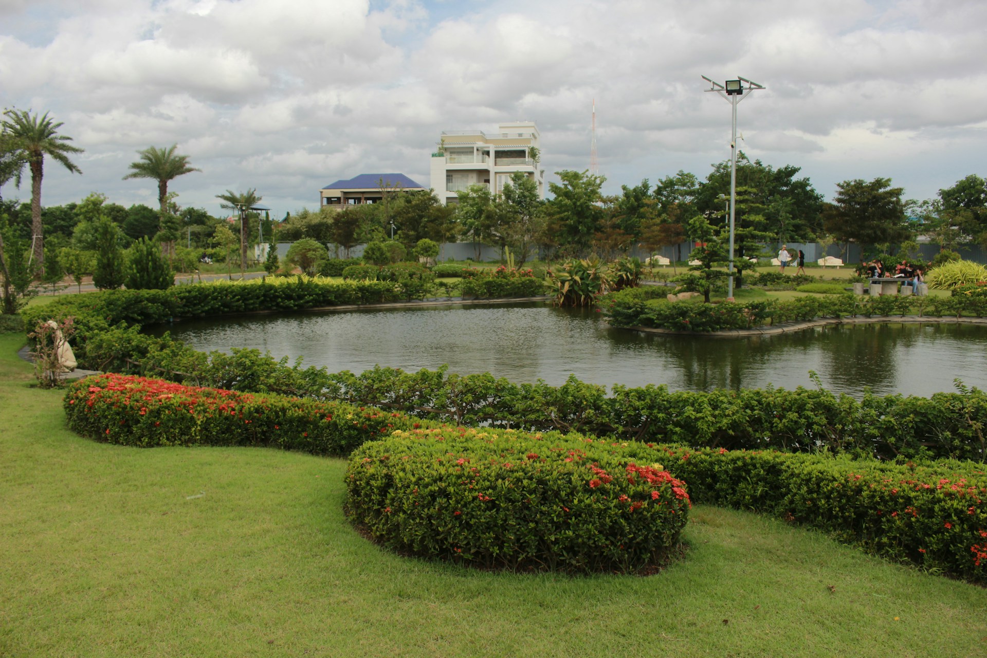 a pond with flowers and grass around it