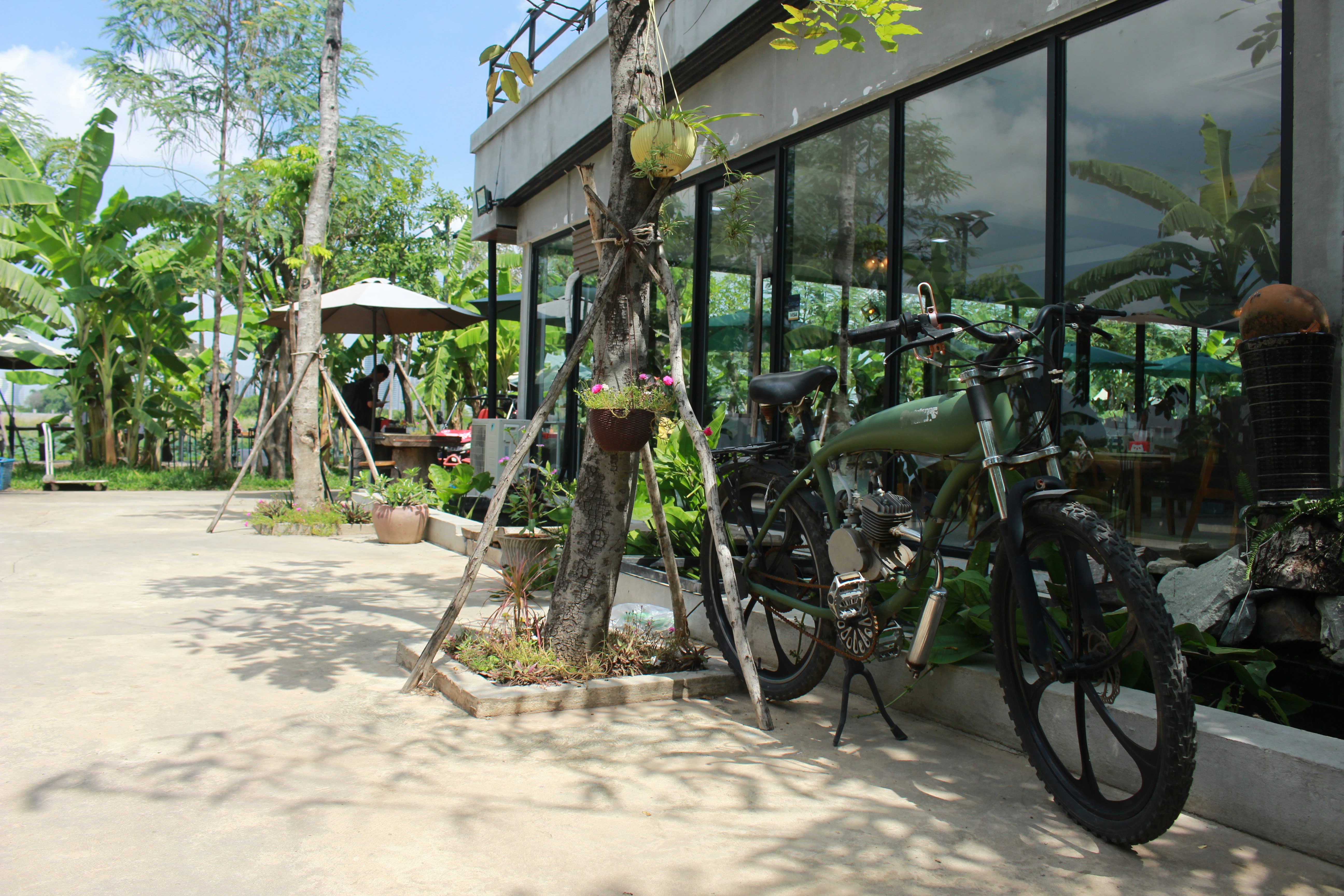 Guesthouse and local shops on art islands