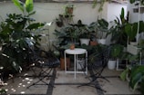A serene patio with potted plants and a cozy seating area.