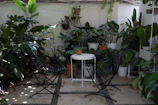 Outdoor patio space with seating and plants for relaxation.