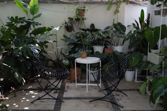 Outdoor patio with plants and seating for relaxation.