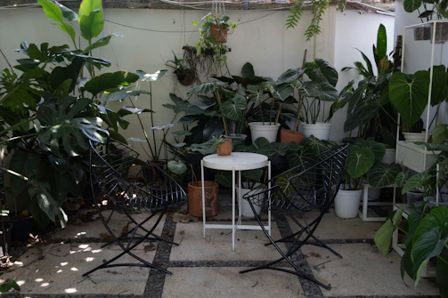 Outdoor patio space with seating and plants for relaxation.