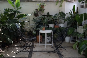 An outdoor patio with comfortable seating and vibrant plants.