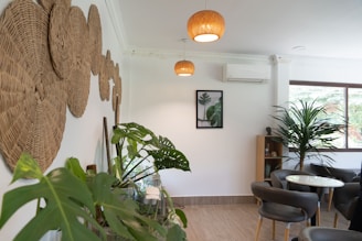 The same room now beautifully furnished with cozy seating, vibrant plants, and tasteful wall art.