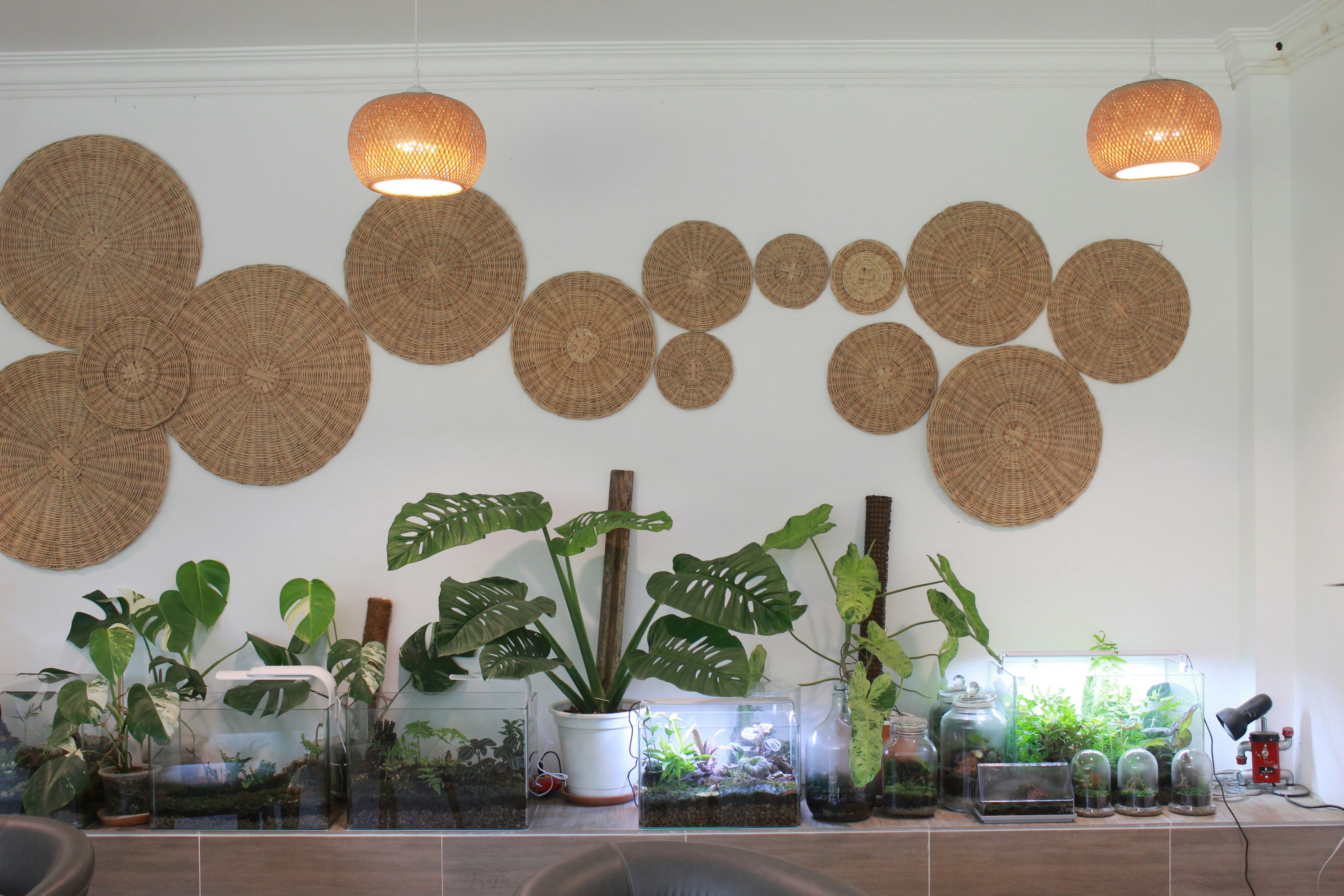 tropical kitchen wallpaper, wallpaper, Tropical Accent Chair: Style for Small Kitchens 4