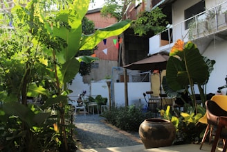 An outdoor event space adorned with tropical plants.