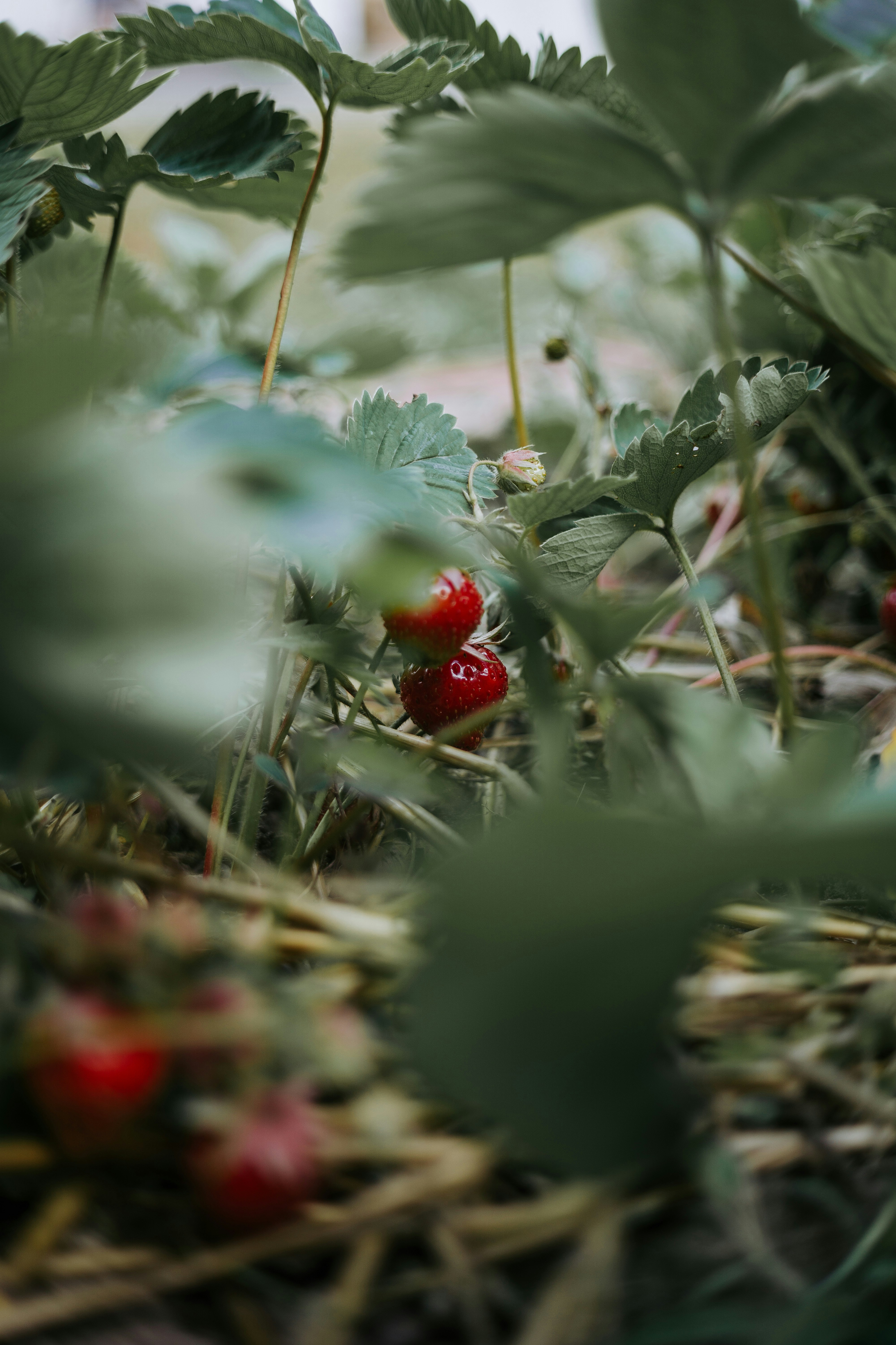 Photo by phillipbre