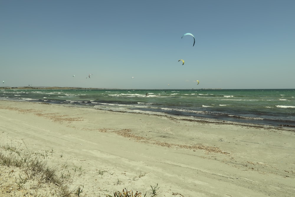 a couple of people parasailing on a beach