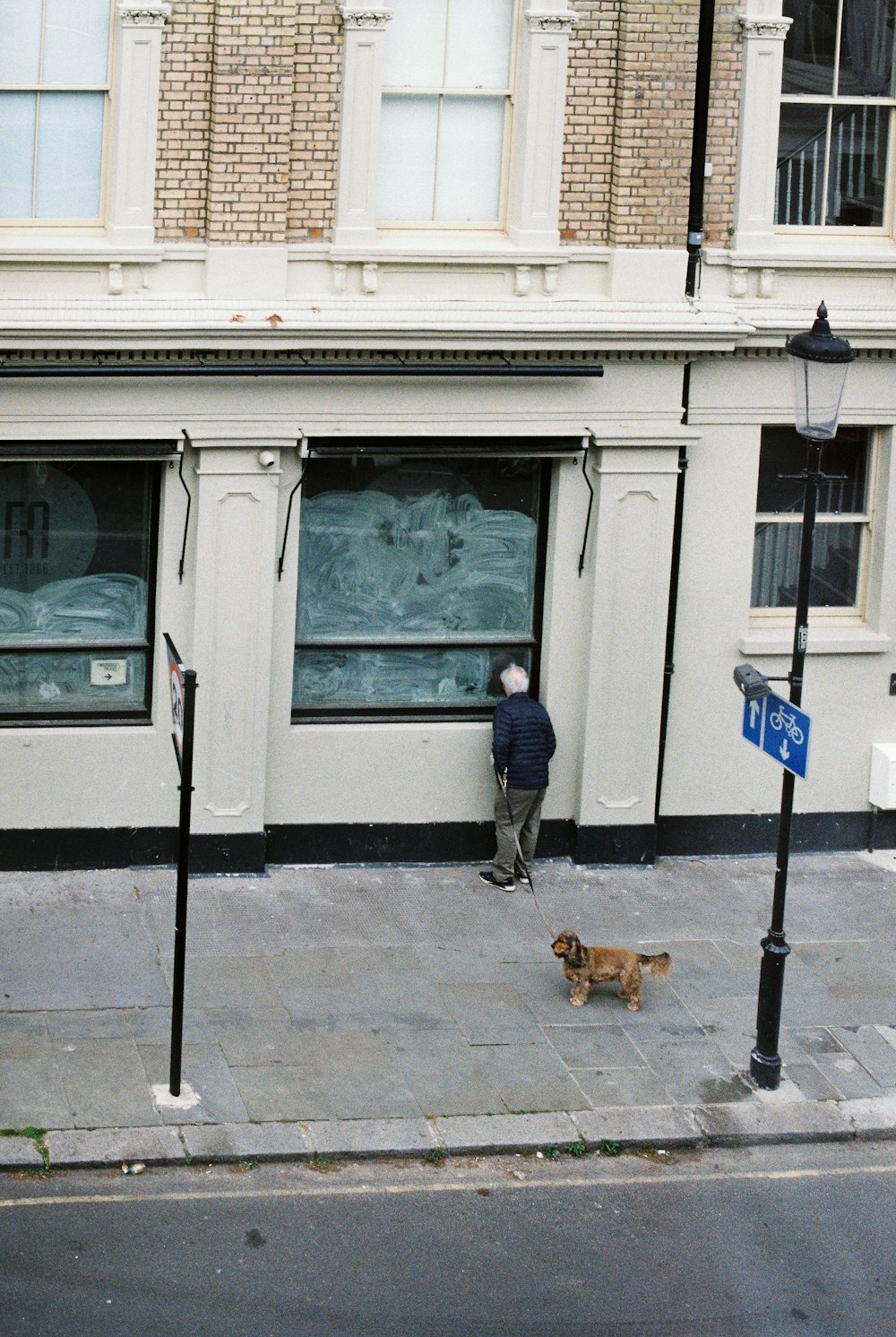 a person walking a dog on the sidewalk