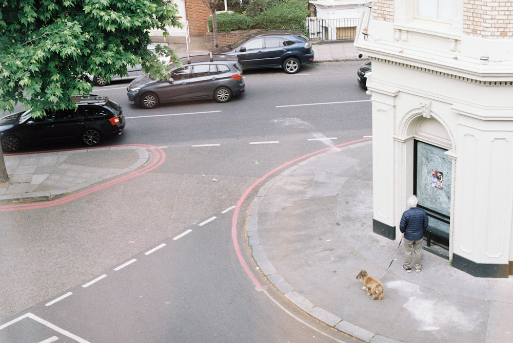 a person walking a dog on a sidewalk