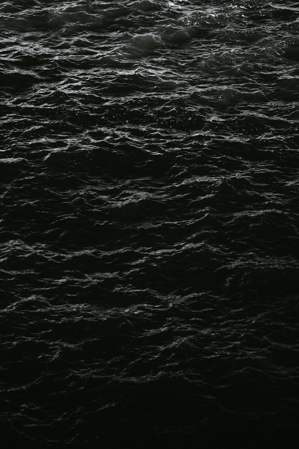 a body of water with waves