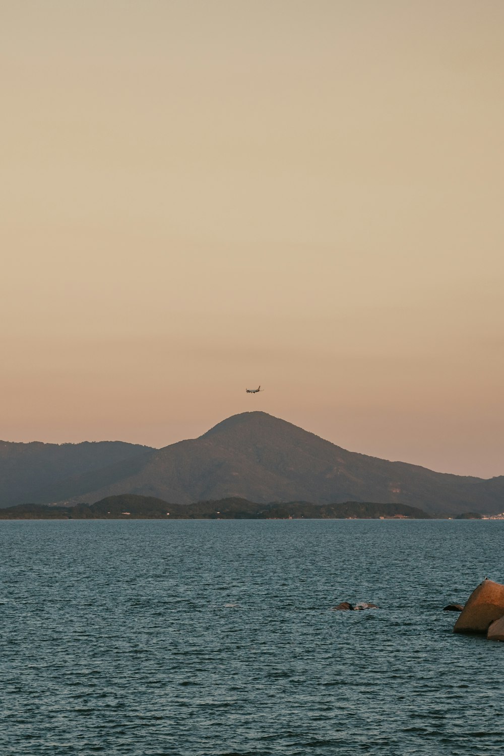 a bird flying over a body of water