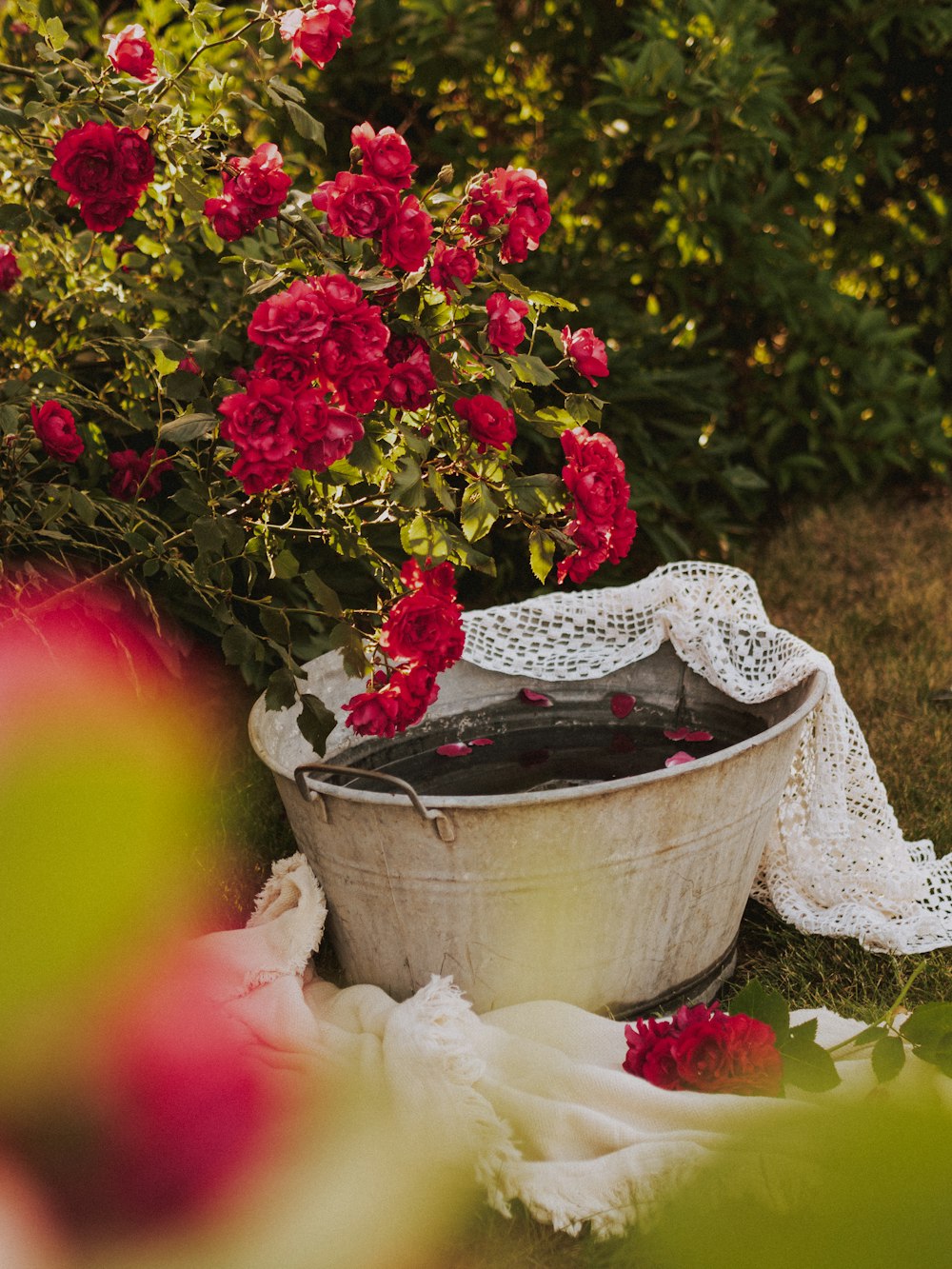 a pot of flowers