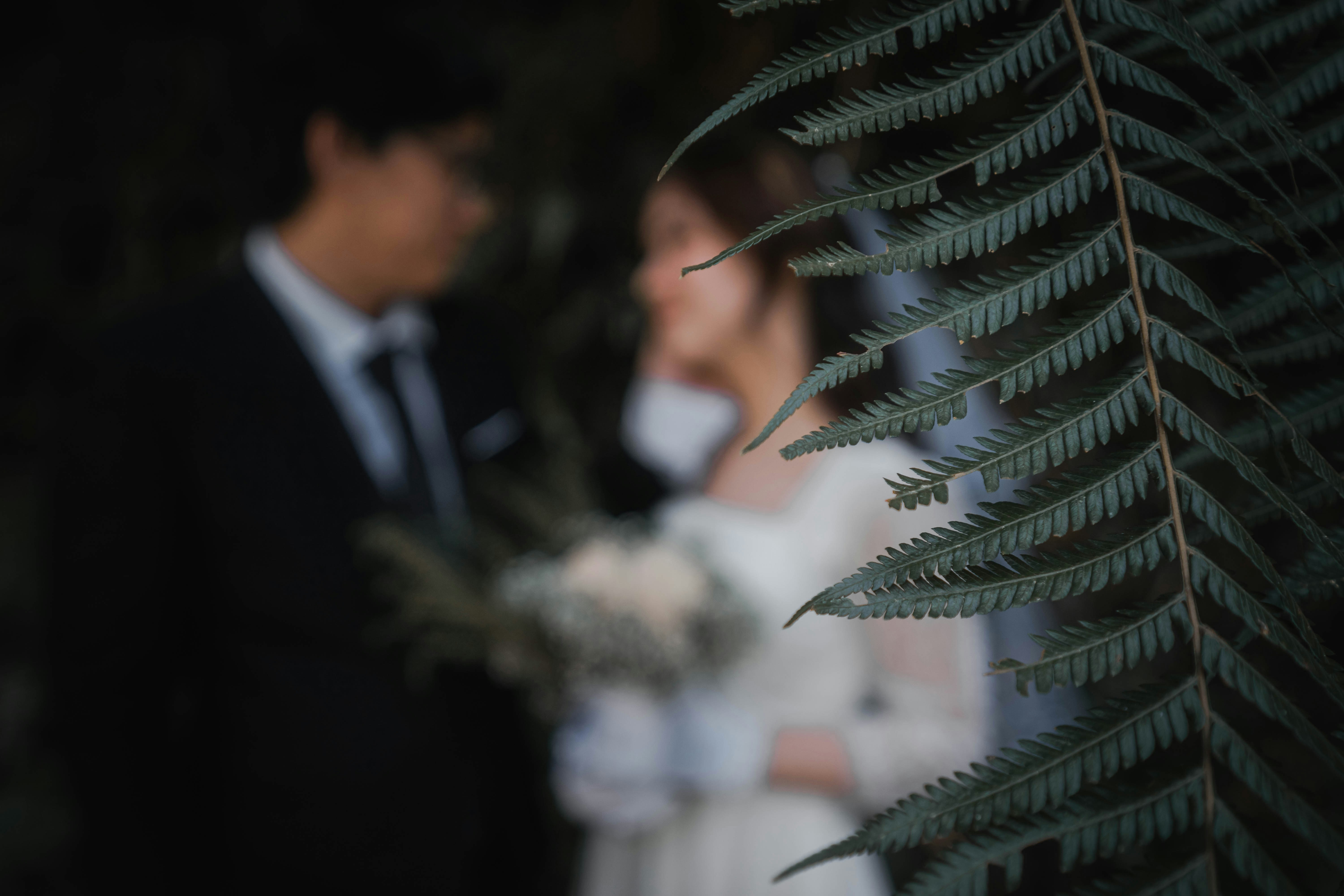 wedding remembrance soft focus, wallpaper, Honoring Deceased Loved Ones at Your Wedding 6
