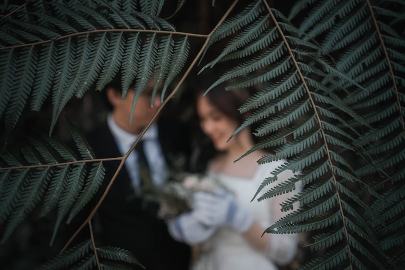 couple behind ferns