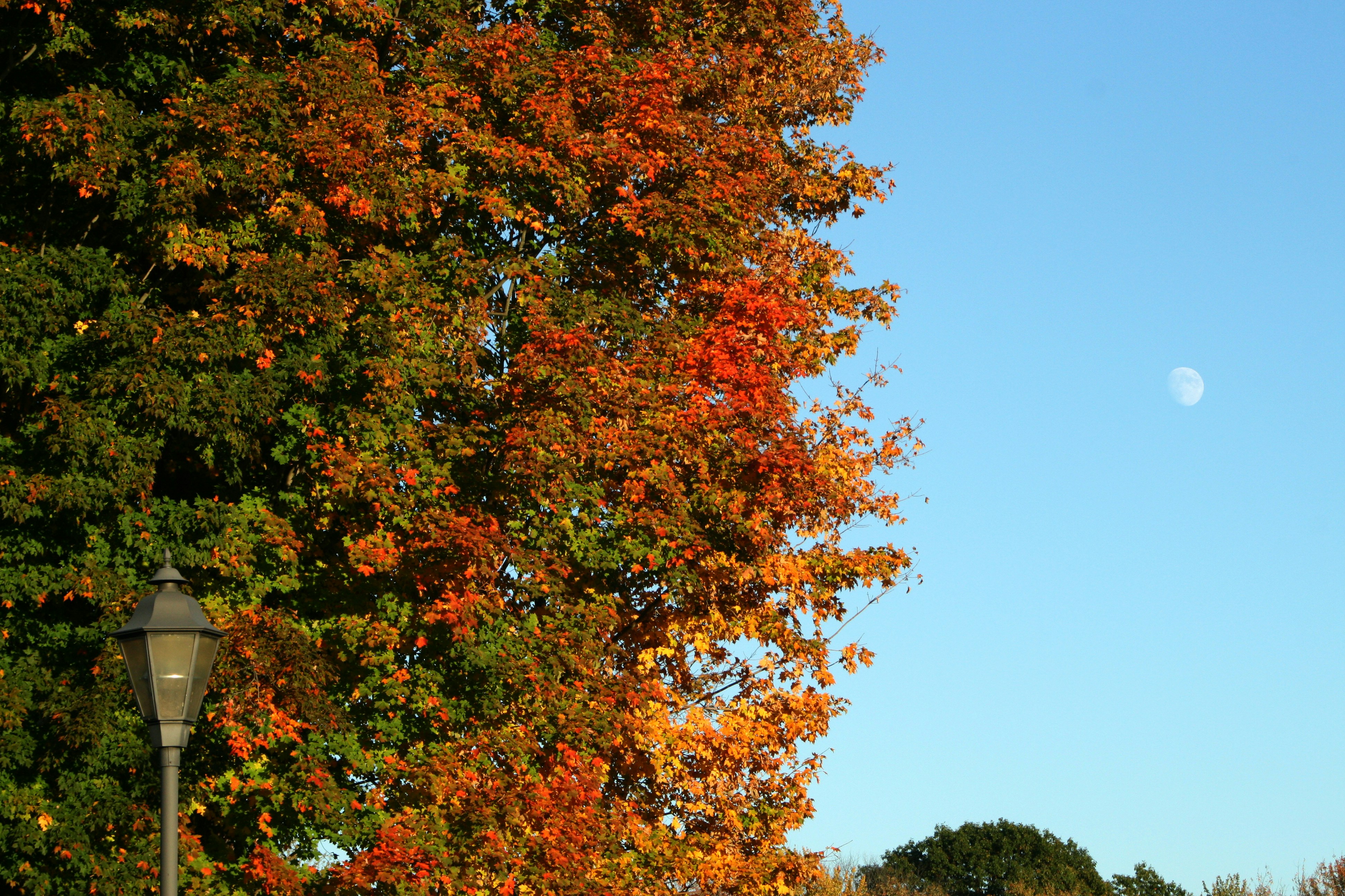 Photo by artbyemilyrose