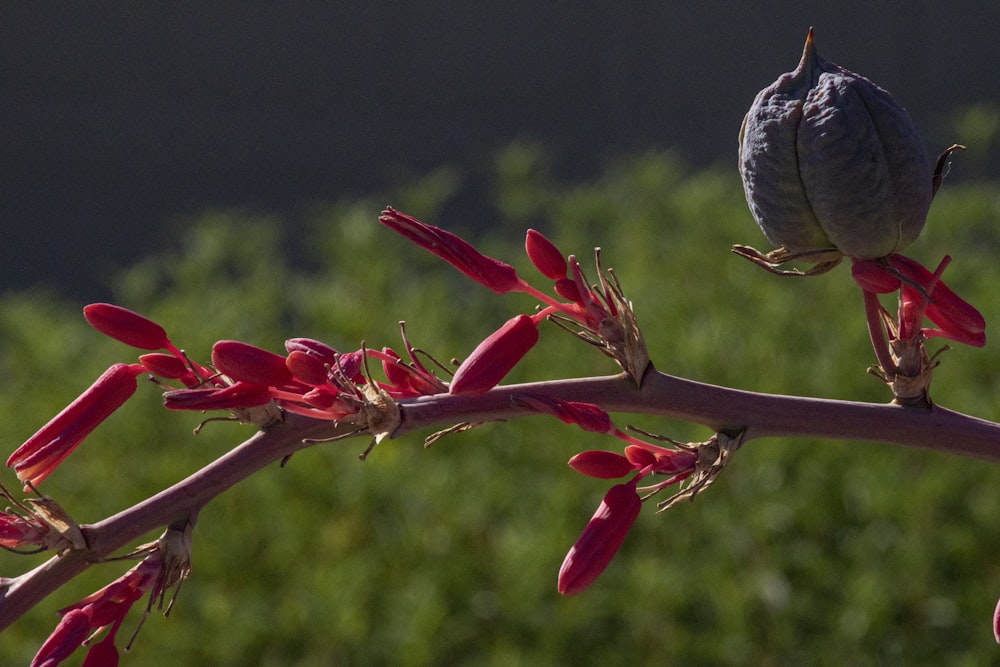 un oiseau perché sur une branche