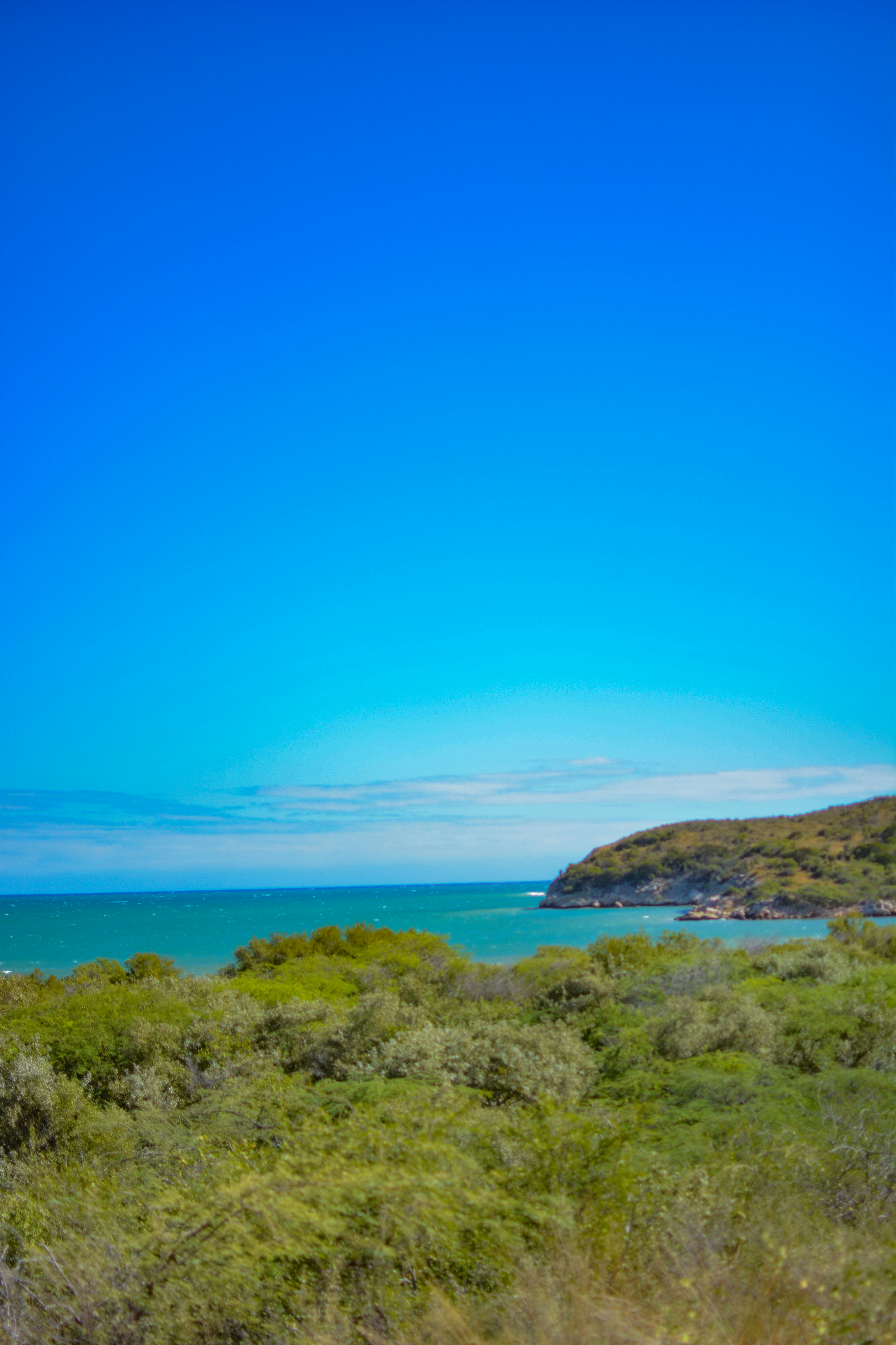 Photo by guzman123456