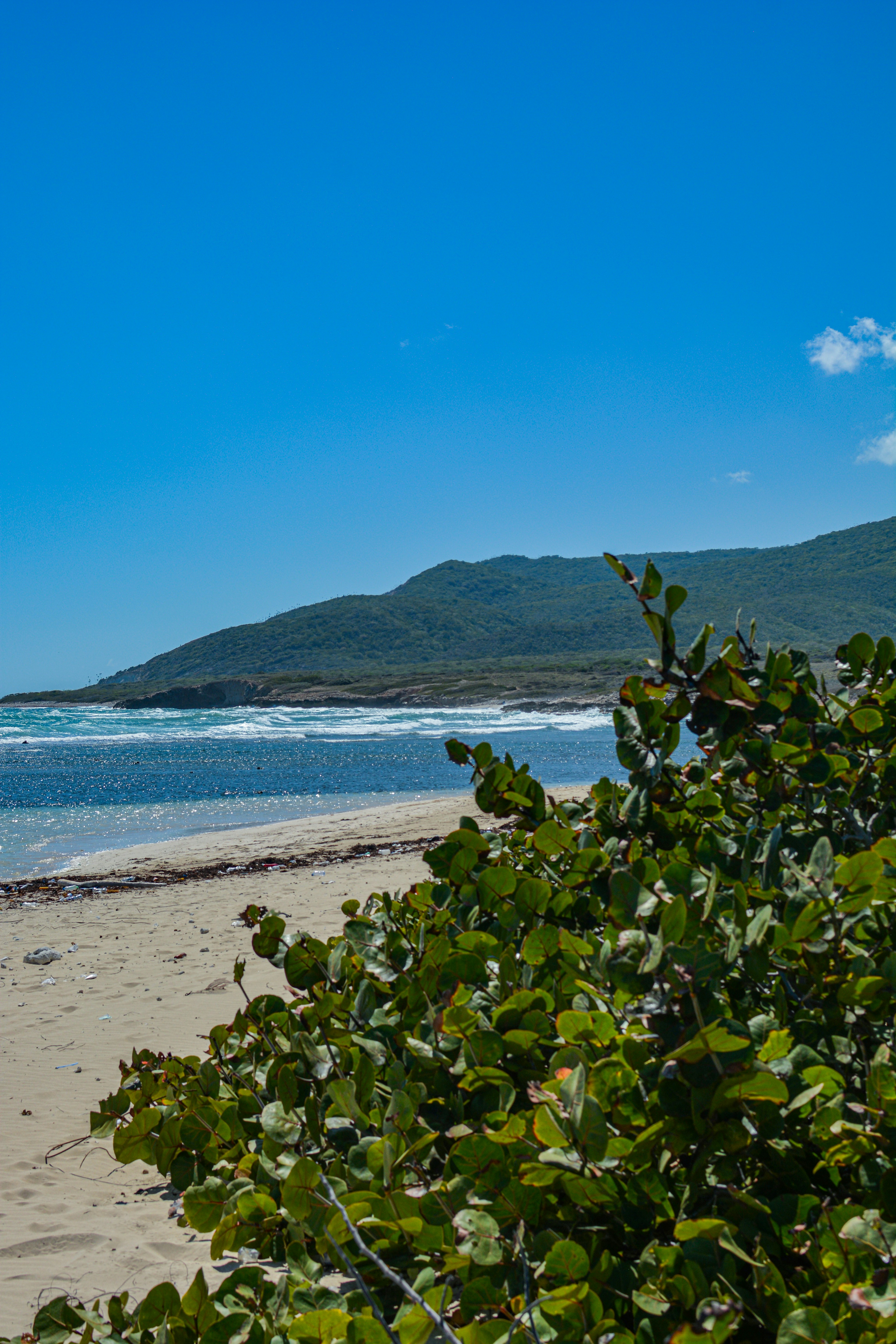 Photo by guzman123456