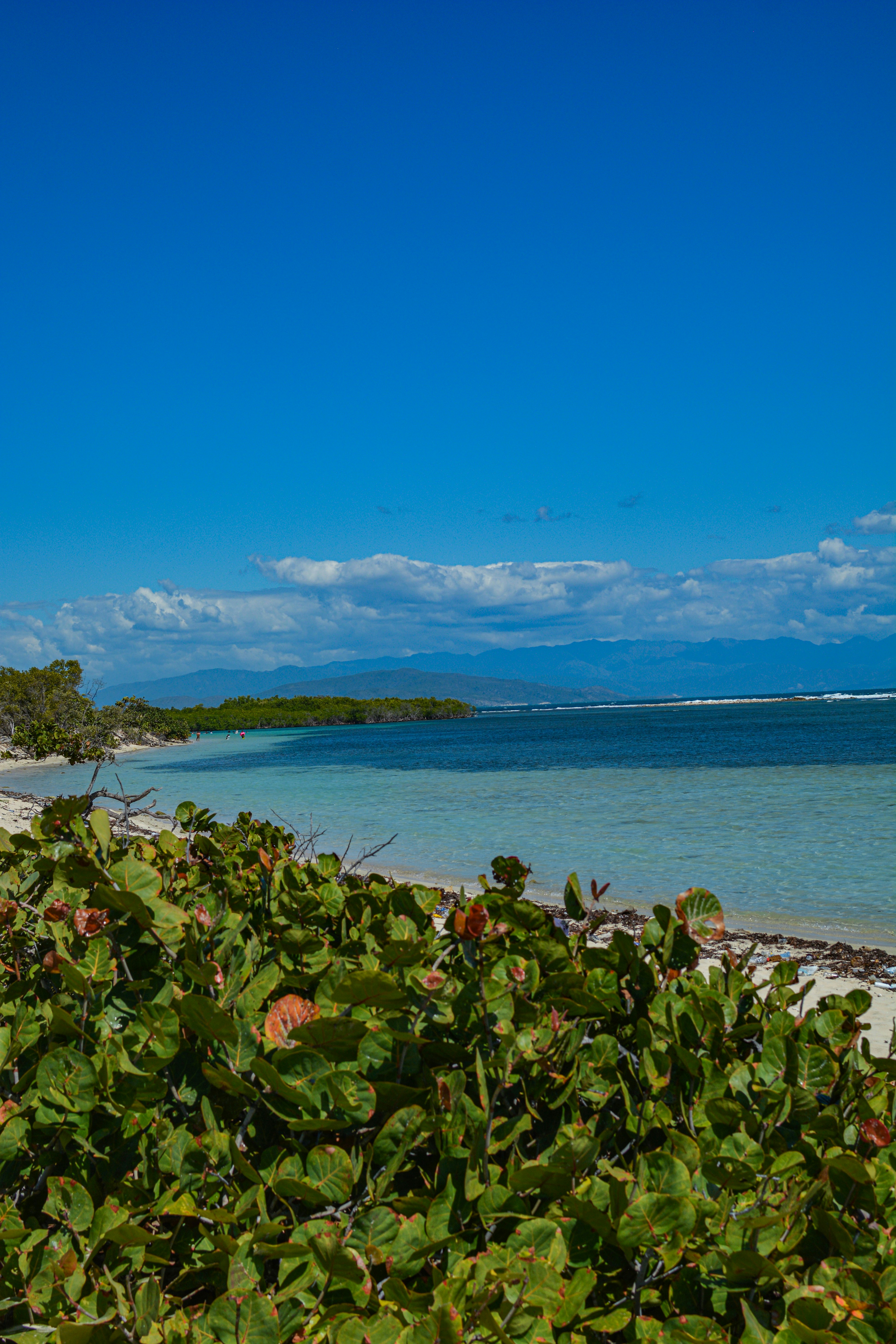 Photo by guzman123456