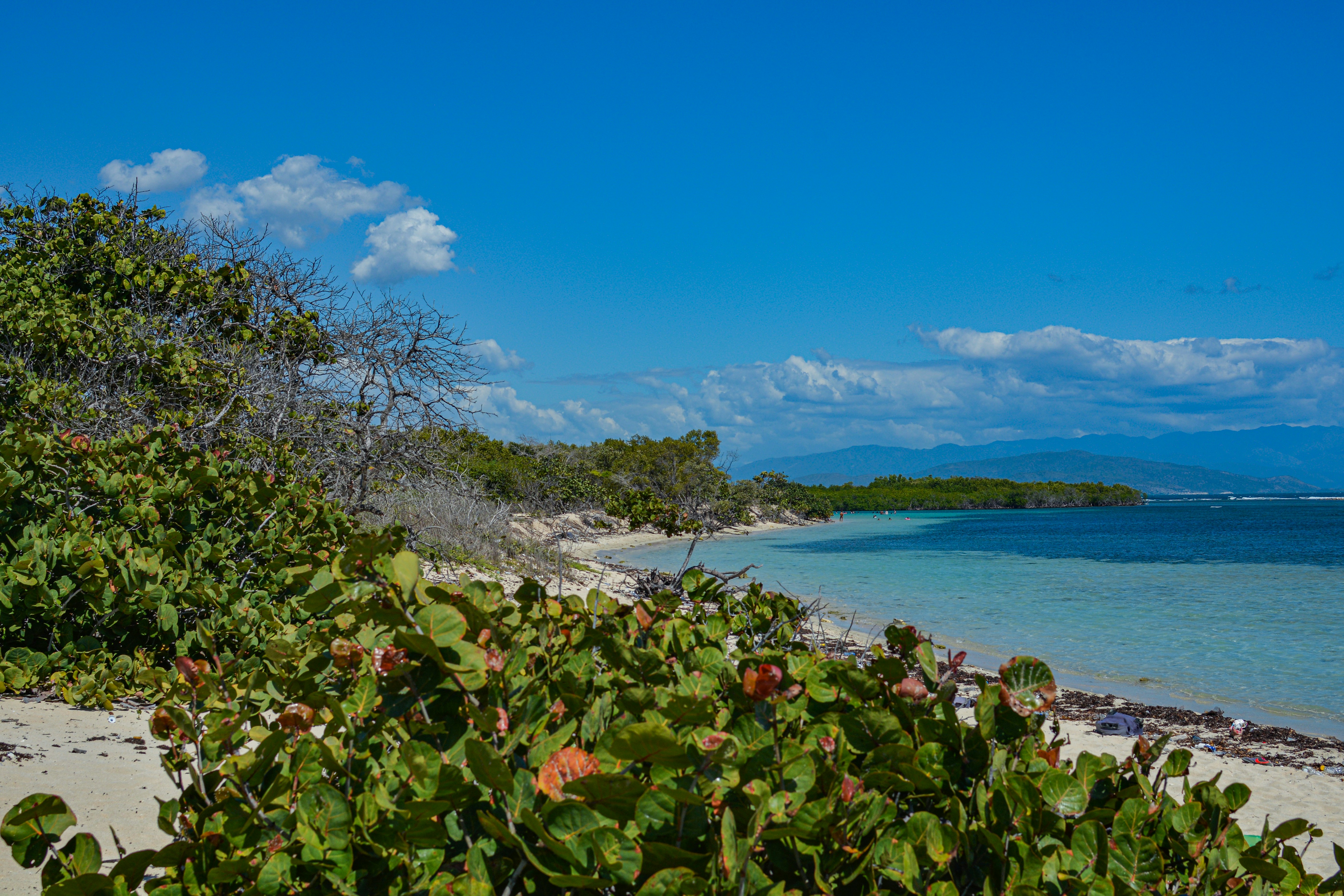 Photo by guzman123456