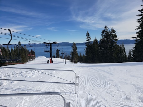 a snowy landscape with trees and a ski lift