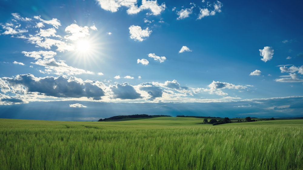 a large green field