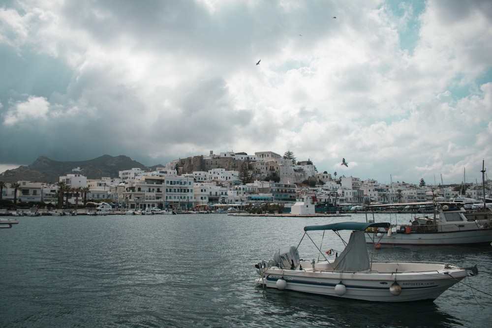 boats in the water