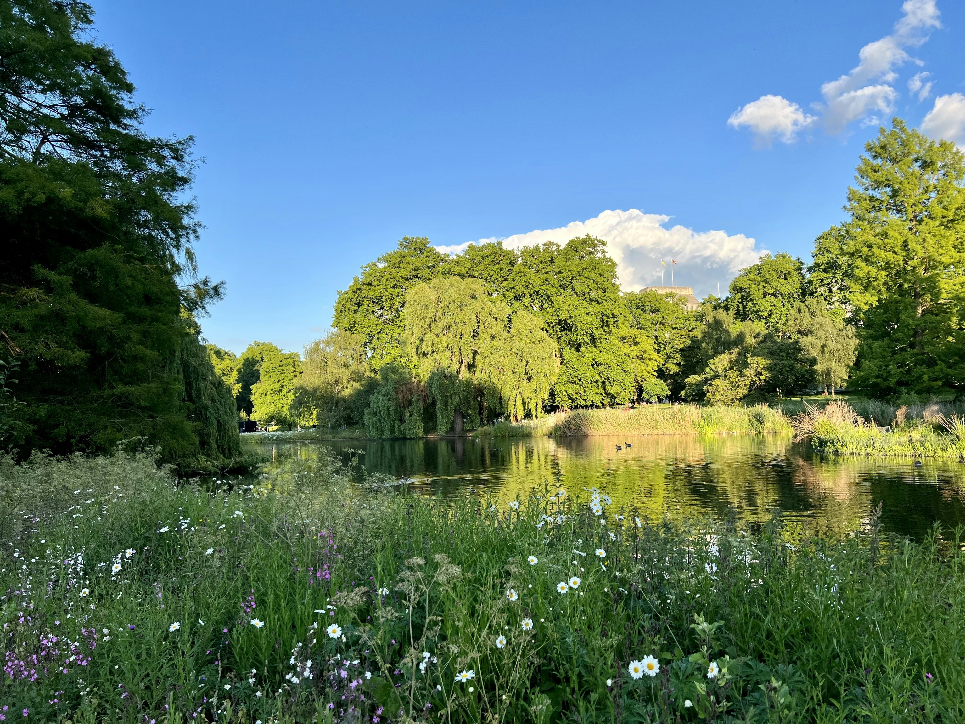 Photo by photos_by_kavita