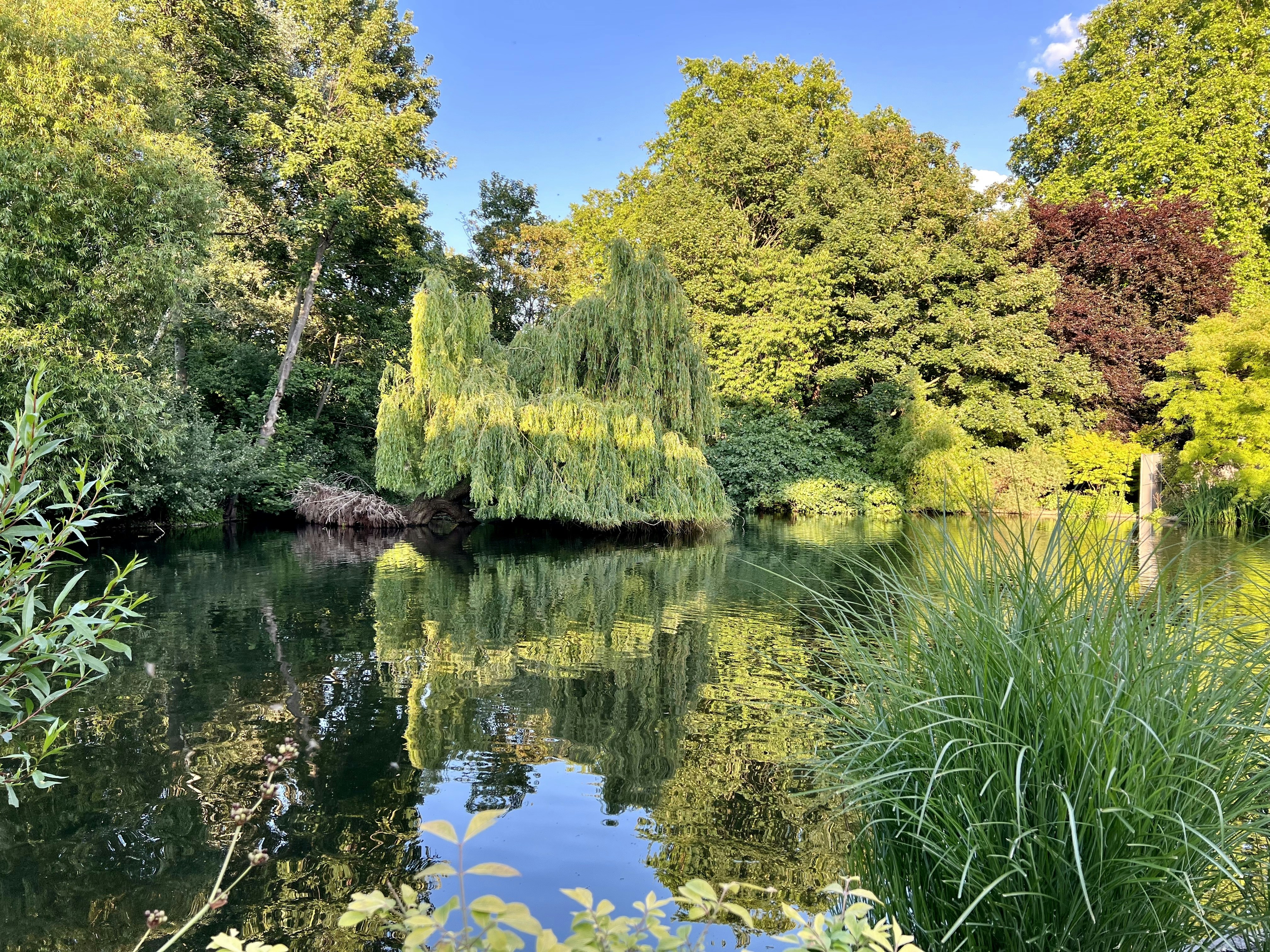 Photo by photos_by_kavita