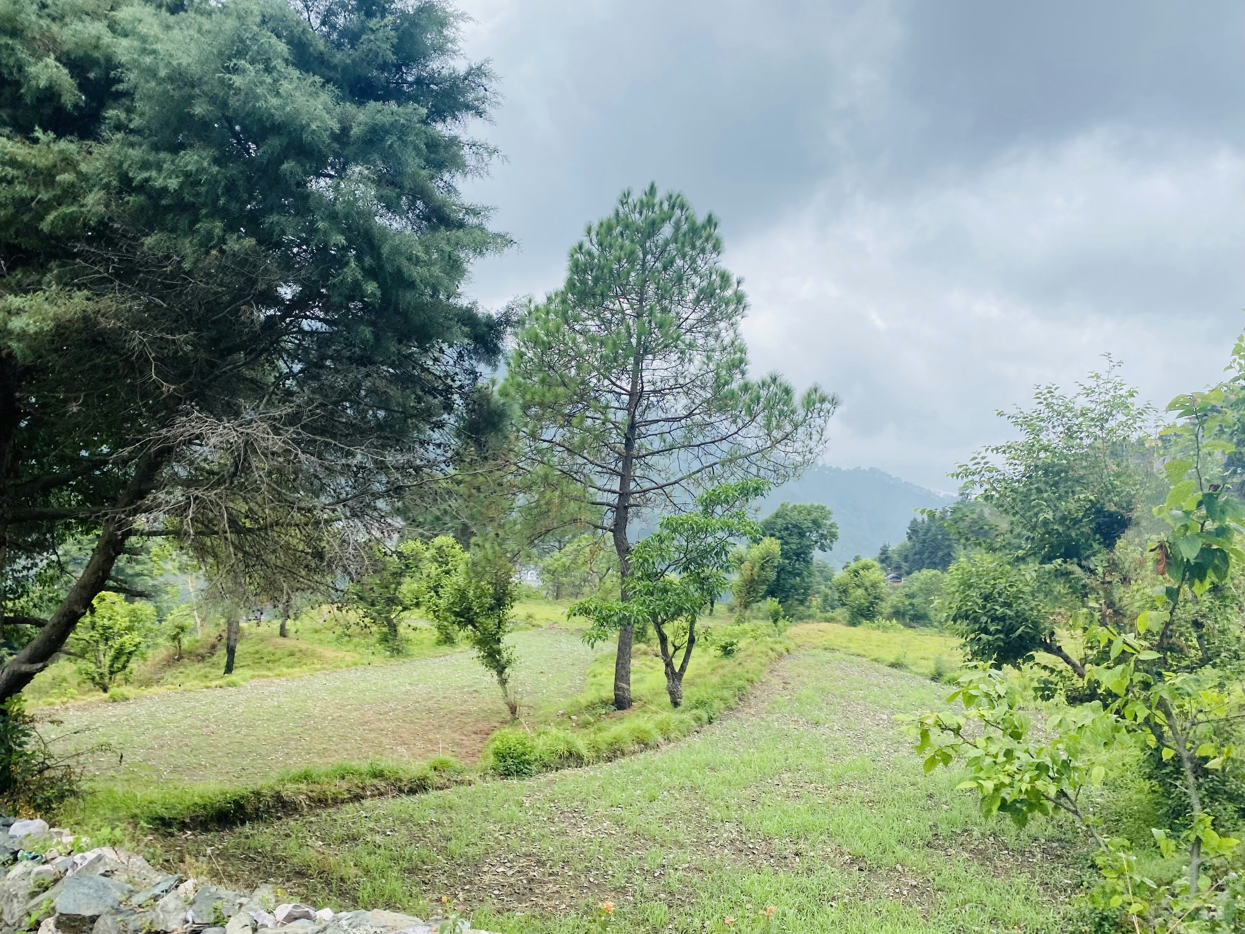 Photo by nikhardhingra