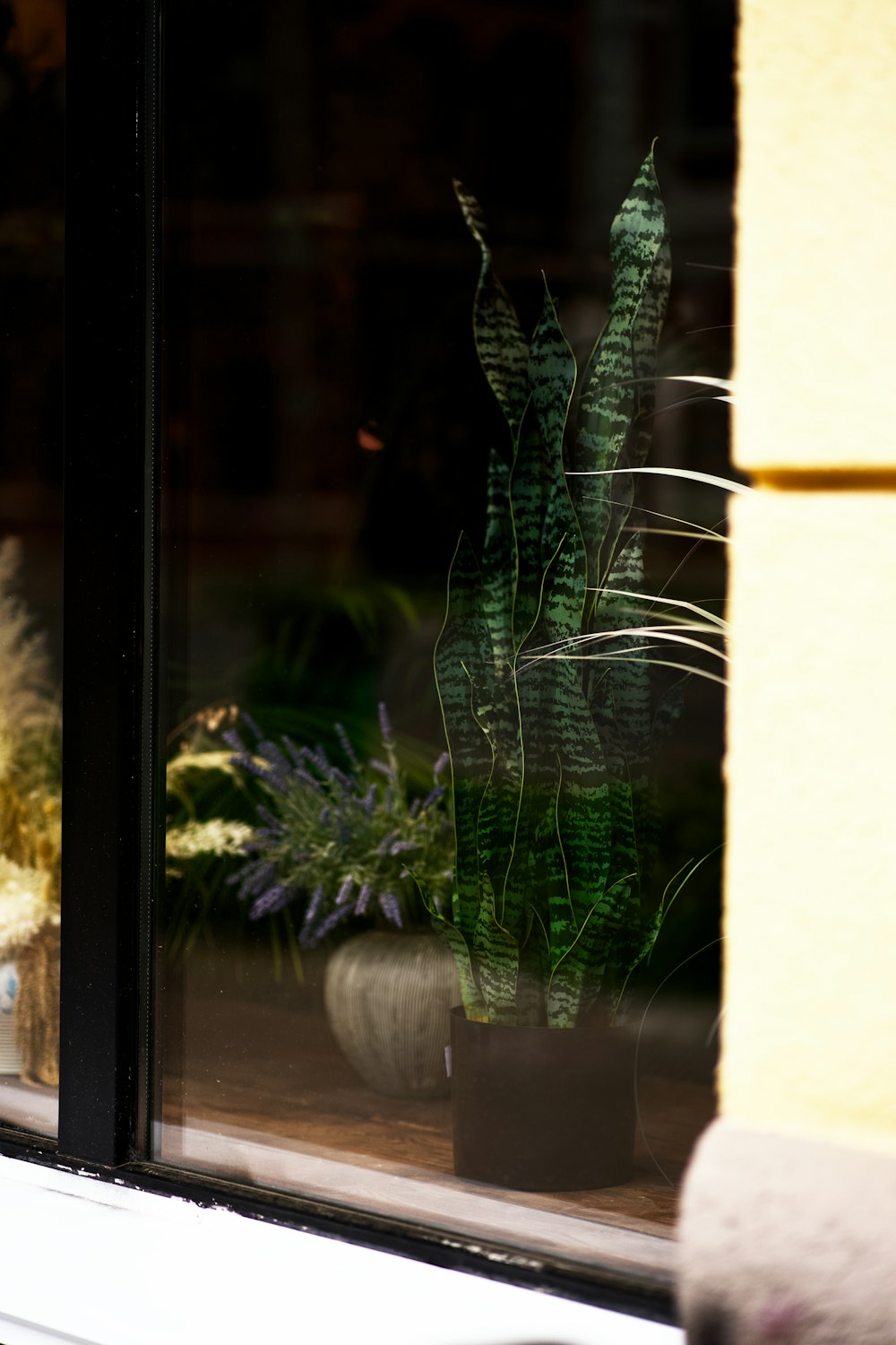 a couple of potted plants sit in a window sill