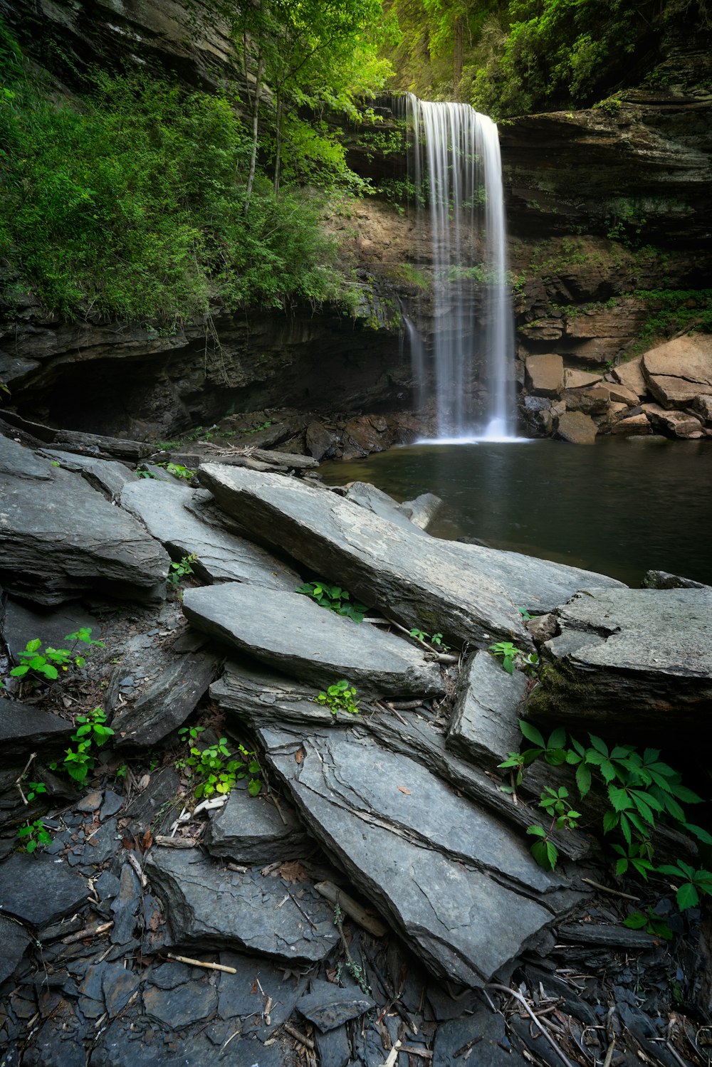 a waterfall in a forest