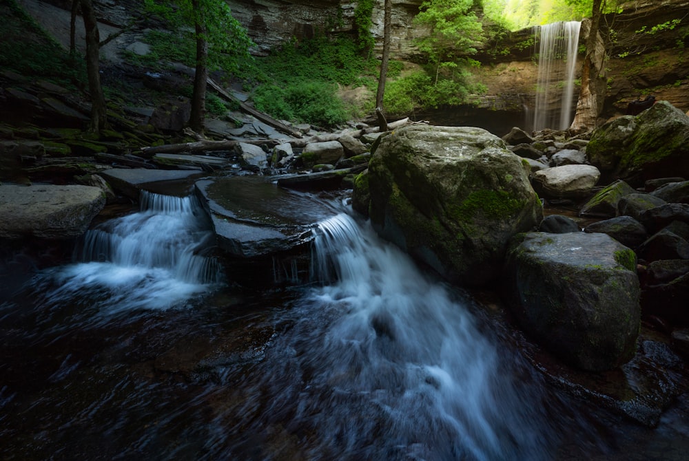 Una cascada en un bosque