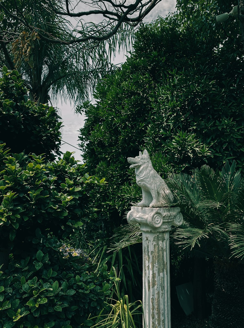 a cat sitting on a post