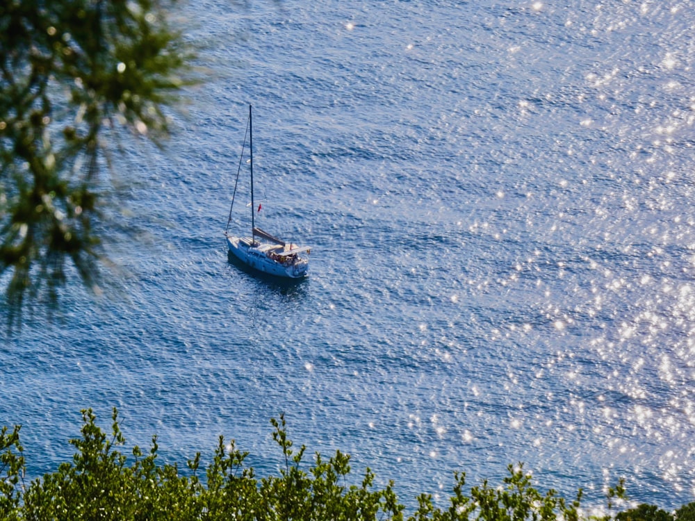 Un barco en el agua