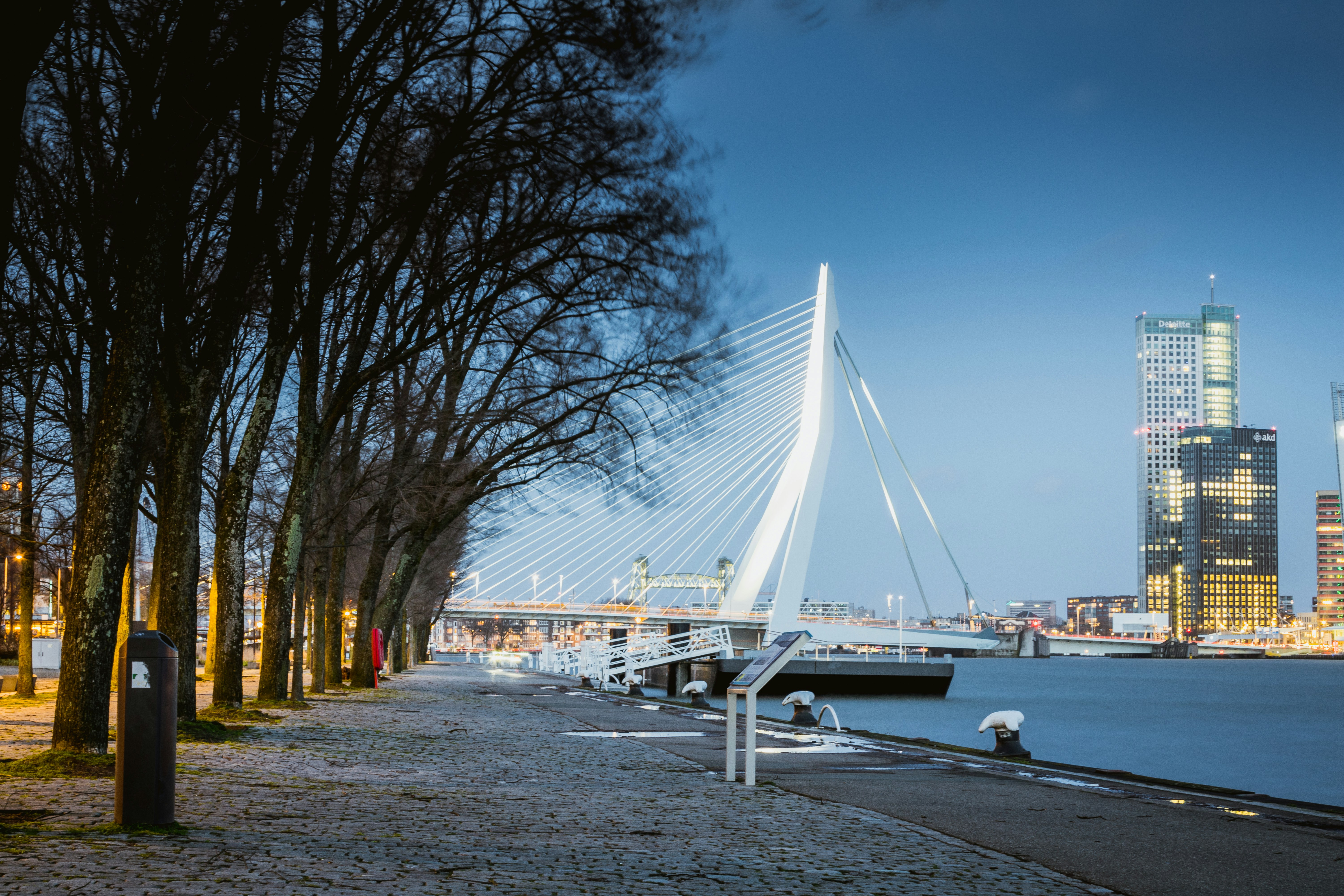 a bridge over water with trees on the side