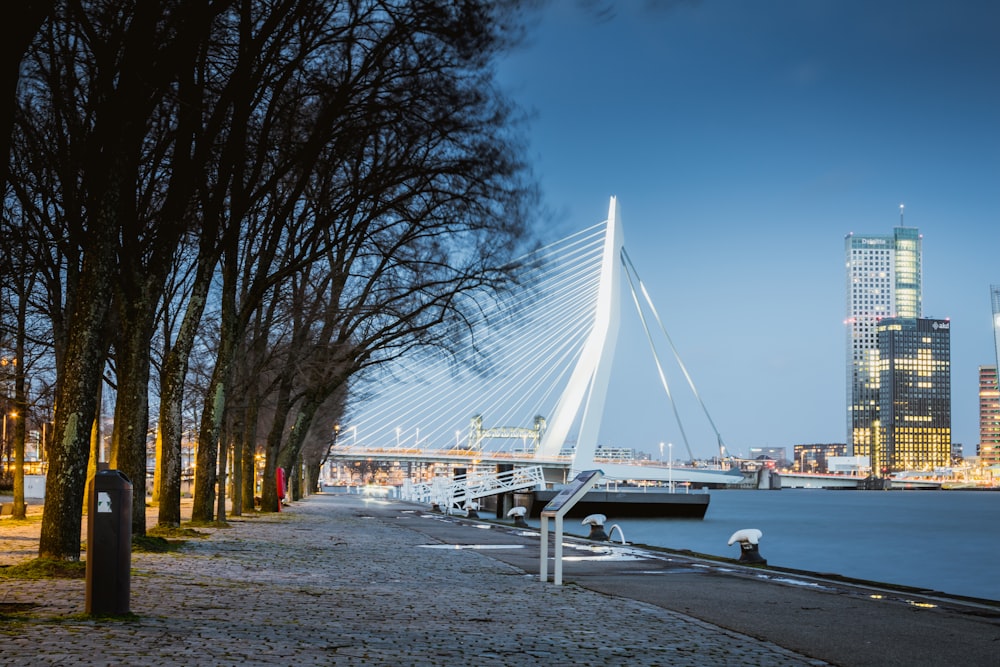 a bridge over water with trees on the side