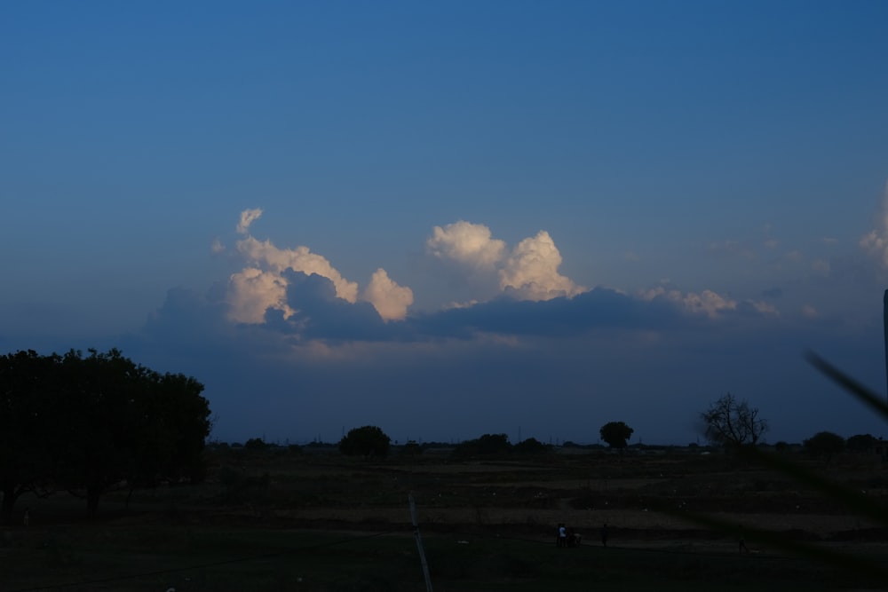 a large field with trees and clouds