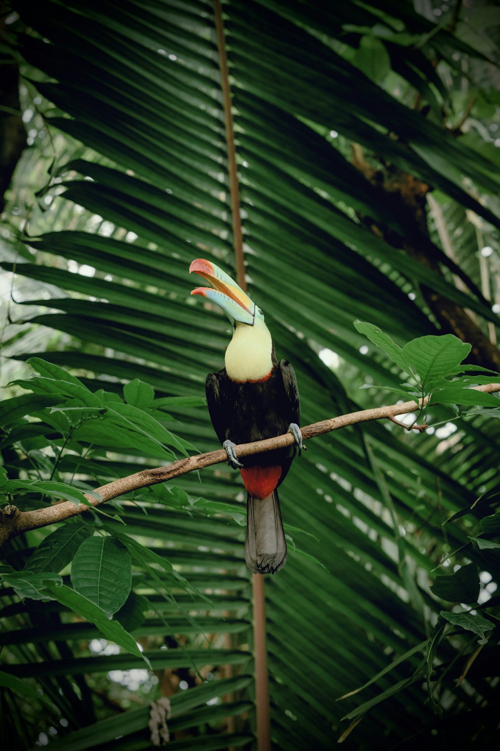 a bird on a branch