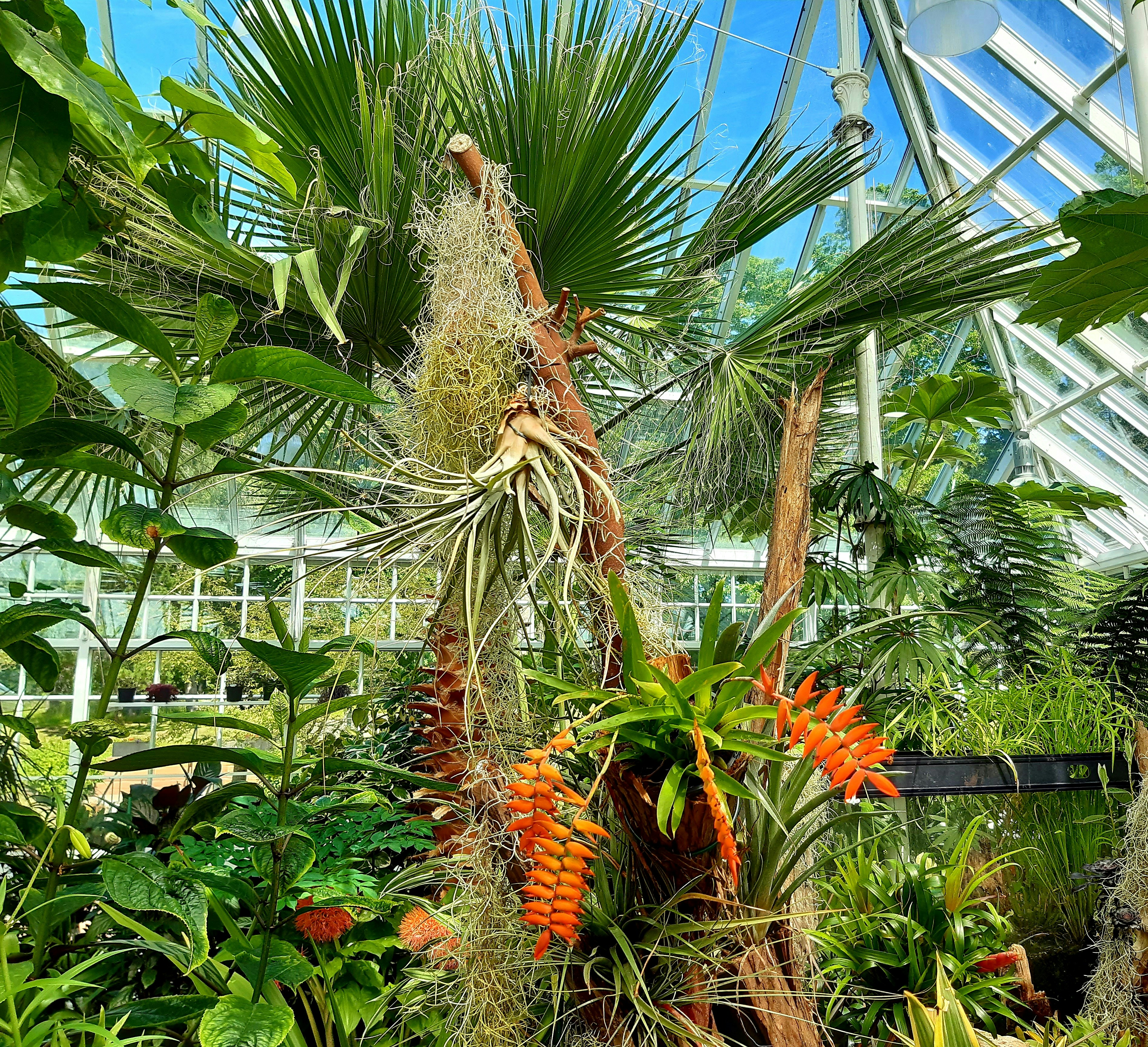 Photo by love_living_history