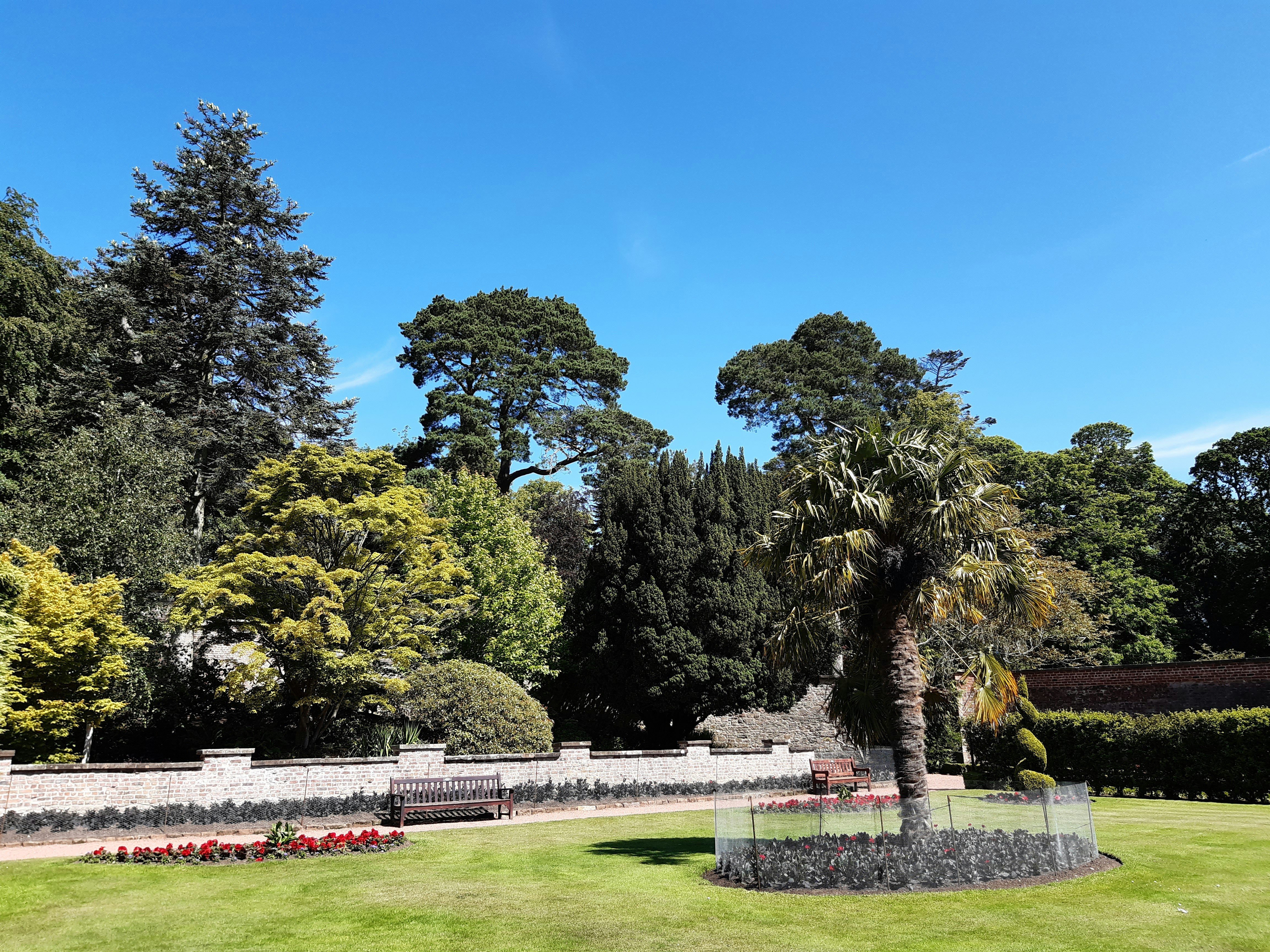 Photo by love_living_history