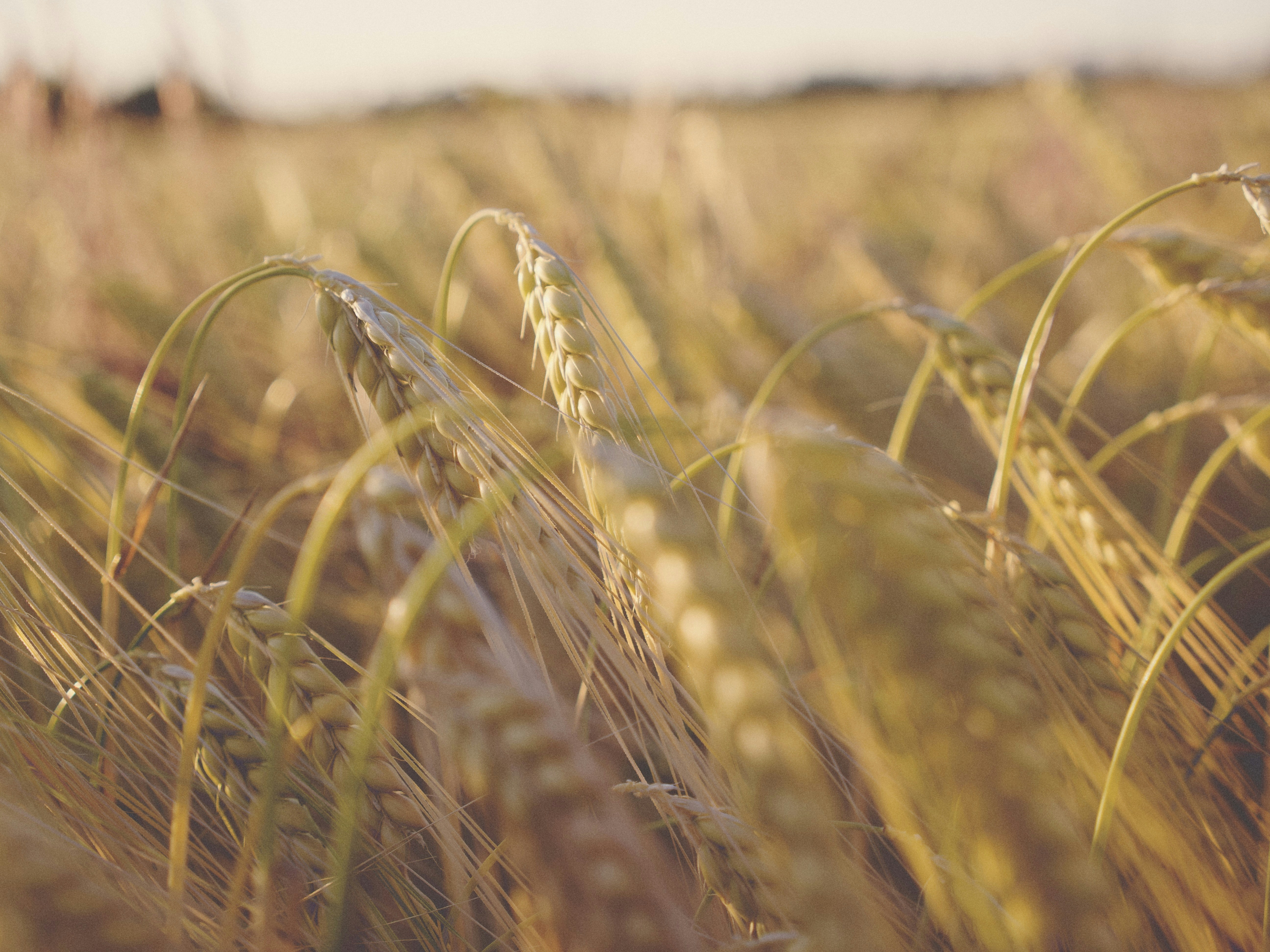 Photo by cachography