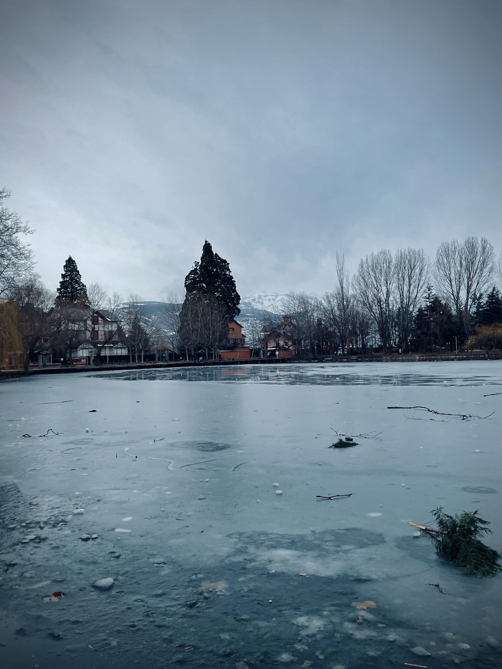 a snowy landscape with trees and buildings